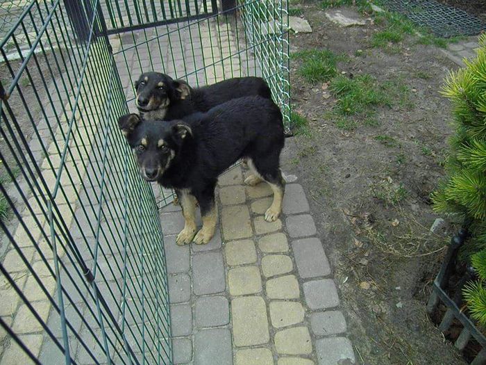Tosia i Boluś